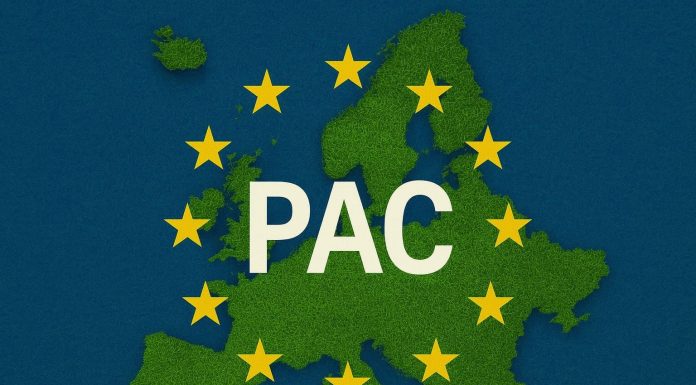 Datos definitivos: Los pagos acumulados de la PAC 2024 alcanzaron en España los 5.719,03 millones PAC