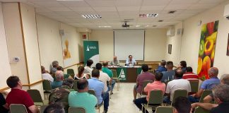 Ganaderos de Ciudad Real abordan la situación de la lengua azul en la provincia lengua azul