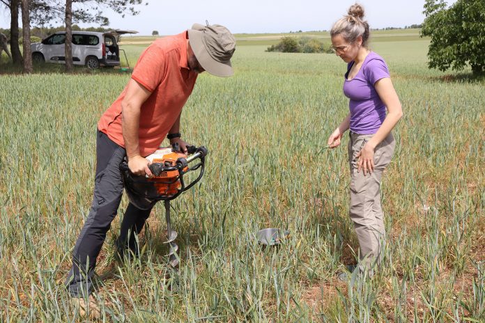 Estudio del suelo Soilbio (de UPA)