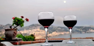 Respaldo de EE.UU. al consumo moderado de vino consumo de vino