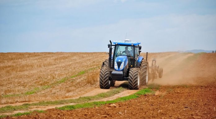 ¿Quiénes pueden acceder a la Reserva Nacional de las ayudas de la campaña PAC 2026? relevo generacional en el campo