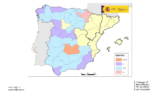 lengua azul lengua azul