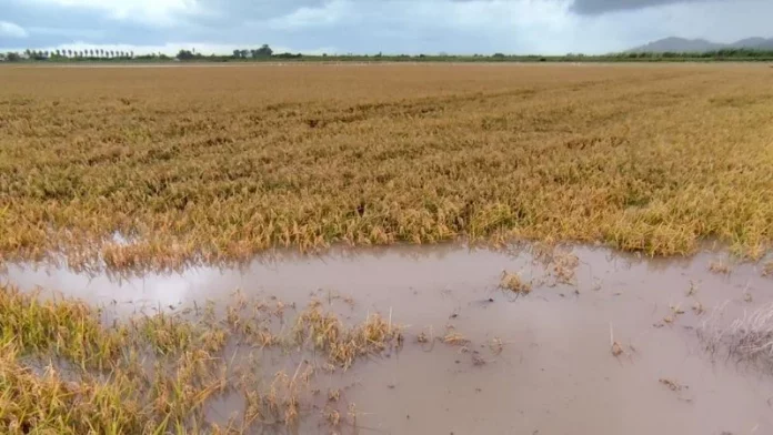 lluvias Valencia