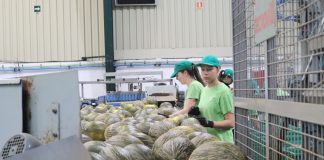 El consejero de Agricultura de Castilla-La Mancha llama a reflexionar sobre los cultivos de melón y sandía melón