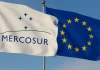 Pide a eurodiputados que apoyen paralizar el acuerdo UE-Mercosur Mercosur