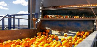 Advierte que el acuerdo de Mercosur impactará en los precios citrícolas y en la viabilidad de la industria del zumo industria del zumo