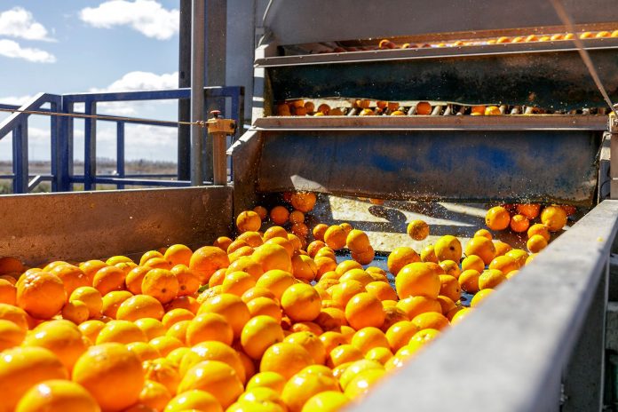 naranjas industria del zumo