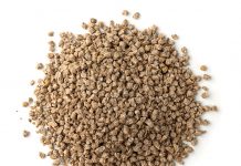 El conflicto en Oriente Próximo impacta en la industria española de alimentación animal piensos compuestos