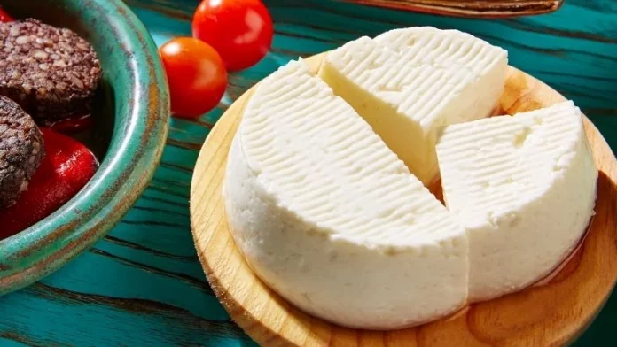 Queso de Burgos
