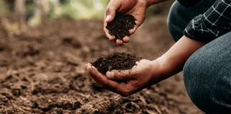 Fertiberia TECH presenta el nuevo SOLUTECK eON, diseñado para potenciar la eficiencia nutricional y energética de los cultivos Suelo fertiberia