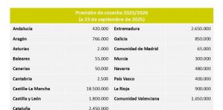 Las estimaciones de vendimia 2025 por regiones