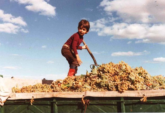 Rubén Villanueva vendimias