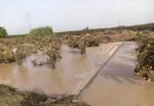 El Ministerio de Agricultura paga ayudas a explotaciones agrarias dañadas por la DANA DANA
