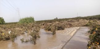 El Ministerio de Agricultura paga ayudas a explotaciones agrarias dañadas por la DANA DANA