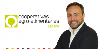 Opinión. Es imposible construir un continente con el estómago vacío. Gabriel Trenzado. Director general de Cooperativas Agro-alimentarias de España Gabriel Trenzado. Cooperativas Agroalimentarias