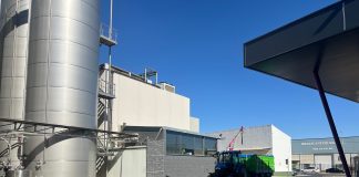 ¿A cuánto se ha pagado la uva esta vendimia en Castilla-La Mancha?