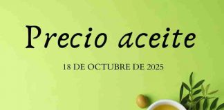 Precio medio en origen del aceite de oliva (18-octubre-2025) precios aceite de oliva