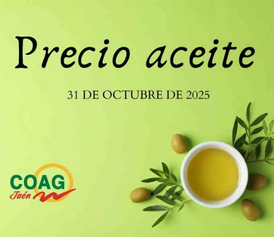 Precio medio en origen del aceite de oliva (31-octubre-2025)