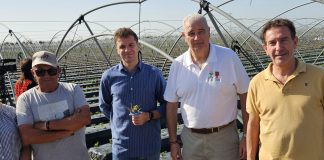 La campaña de frutos rojos de Huelva, sin trabajadores suficientes