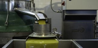 Los precios del aceite de oliva virgen extra español, por debajo del italiano y el griego aceite de oliva