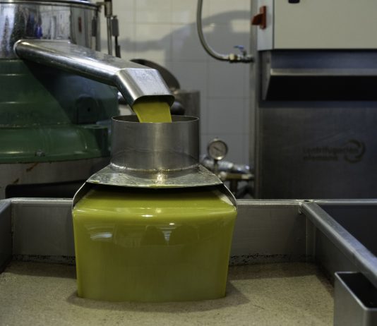 La nueva campaña de comercialización de aceite de oliva arranca con muy buen ritmo en las salidas aceite de oliva