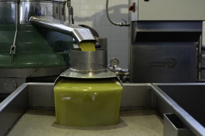 aceite de oliva
