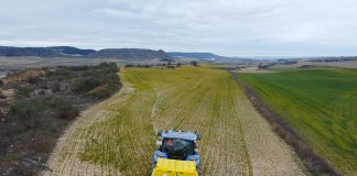 UPA aplaude el cambio legal en la nutrición de suelos fertilizantes