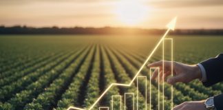 Préstamos rápidos: una solución ágil para modernizar la maquinaria agraria Préstamos rápidos