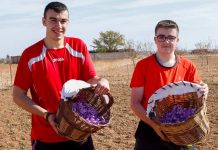 UPA exhorta a todos los gobiernos a desarrollar «con urgencia» la Estrategia de Relevo Generacional en la Agricultura Relevo Generacional en la Agricultura