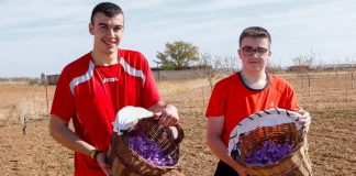 UPA exhorta a todos los gobiernos a desarrollar «con urgencia» la Estrategia de Relevo Generacional en la Agricultura Relevo Generacional en la Agricultura