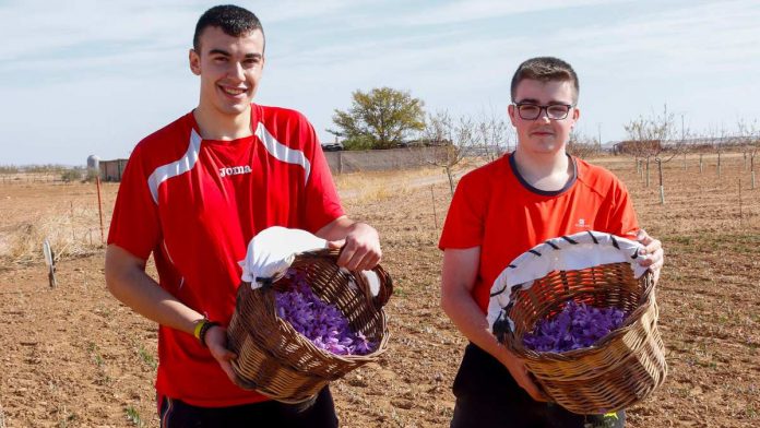 Relevo Generacional en la Agricultura 