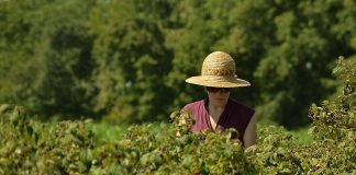 Unión de Uniones denuncia las dificultades de las mujeres rurales para acceder a financiación agraria en la UE mujeres rurales