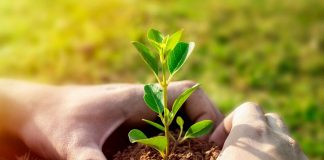 Unión de Uniones cree que la Estrategia de Relevo Generacional tiene buena voluntad pero sin calado real planta