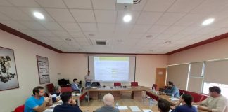 El sector del champiñón de Castilla-La Mancha demanda medidas para afrontar la falta de paja sectorial champiñón