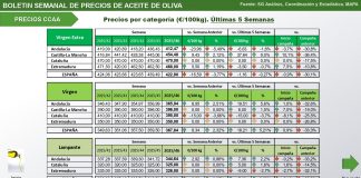 Precio medio en origen del aceite de oliva (28-noviembre-2025) precios aceite