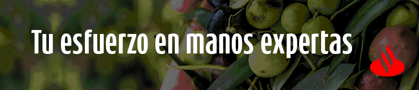 SANTANDER ANTICIPO OLIVAR DIC 2025