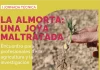 En marcha una iniciativa para recuperar el cultivo de la almorta, base de las gachas manchegas jornada almorta