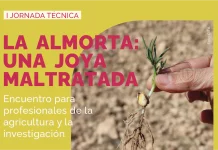 En marcha una iniciativa para recuperar el cultivo de la almorta, base de las gachas manchegas jornada almorta