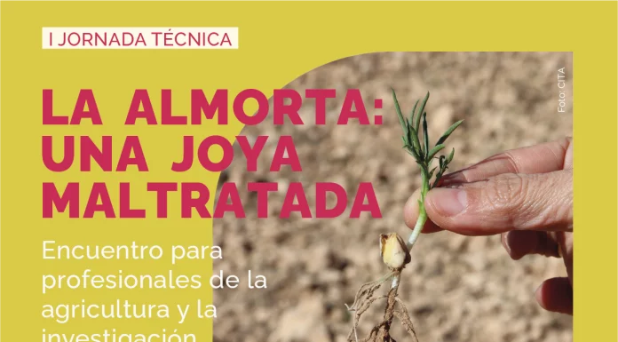 En marcha una iniciativa para recuperar el cultivo de la almorta, base de las gachas manchegas jornada almorta