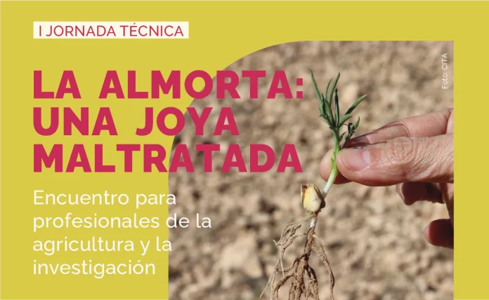 jornada almorta jornada almorta