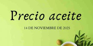 Precio medio en origen del aceite de oliva (14-noviembre-2025) precio de aceite
