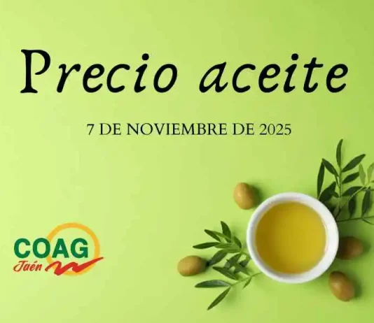 Precio medio en origen del aceite de oliva (7-noviembre-2025)