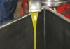 Tras las lluvias, comienza la campaña de aceituna para aceite en la provincia de Córdoba aceite