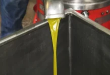 Tras las lluvias, comienza la campaña de aceituna para aceite en la provincia de Córdoba aceite