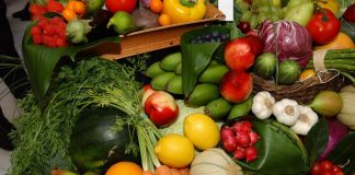 Productores europeos de frutas y hortalizas advierten sobre las consecuencias del acuerdo UE-Marruecos FRUTAS Y HORALIZAS