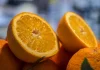 ¿A cuánto están cobrando las naranjas los agricultores? cítricos naranjas