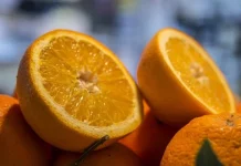 ¿A cuánto están cobrando las naranjas los agricultores? cítricos naranjas