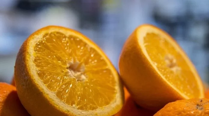 ¿A cuánto están cobrando las naranjas los agricultores? cítricos naranjas