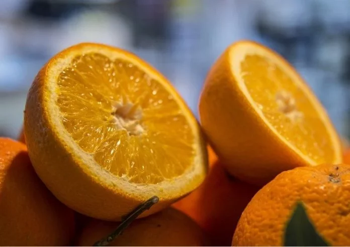 naranjas cítricos naranjas