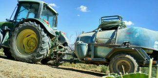 ¿Cómo se deben aplicar los tratamientos fitosanitarios en tiempo frío? fitosanitarios